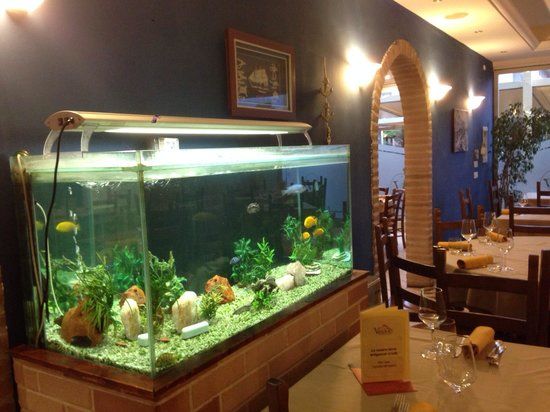 Ristorante pizzeria Vesuvio